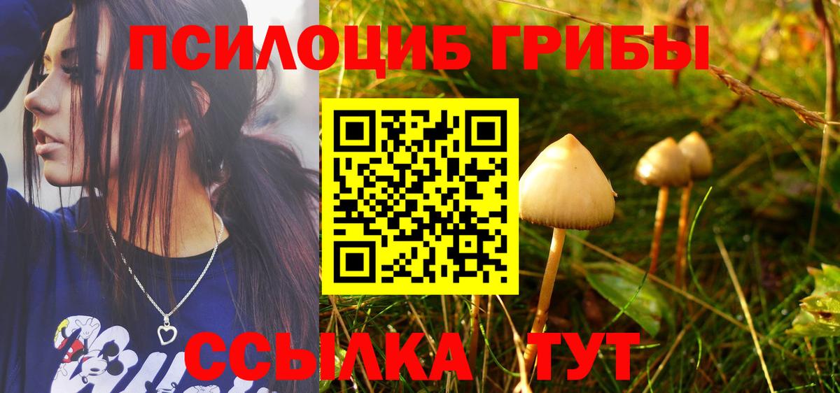 Ефремов  Псилоцибиновые грибы Cubensis  Вход с VPN  Псилоцибиновые грибы ЛСД 